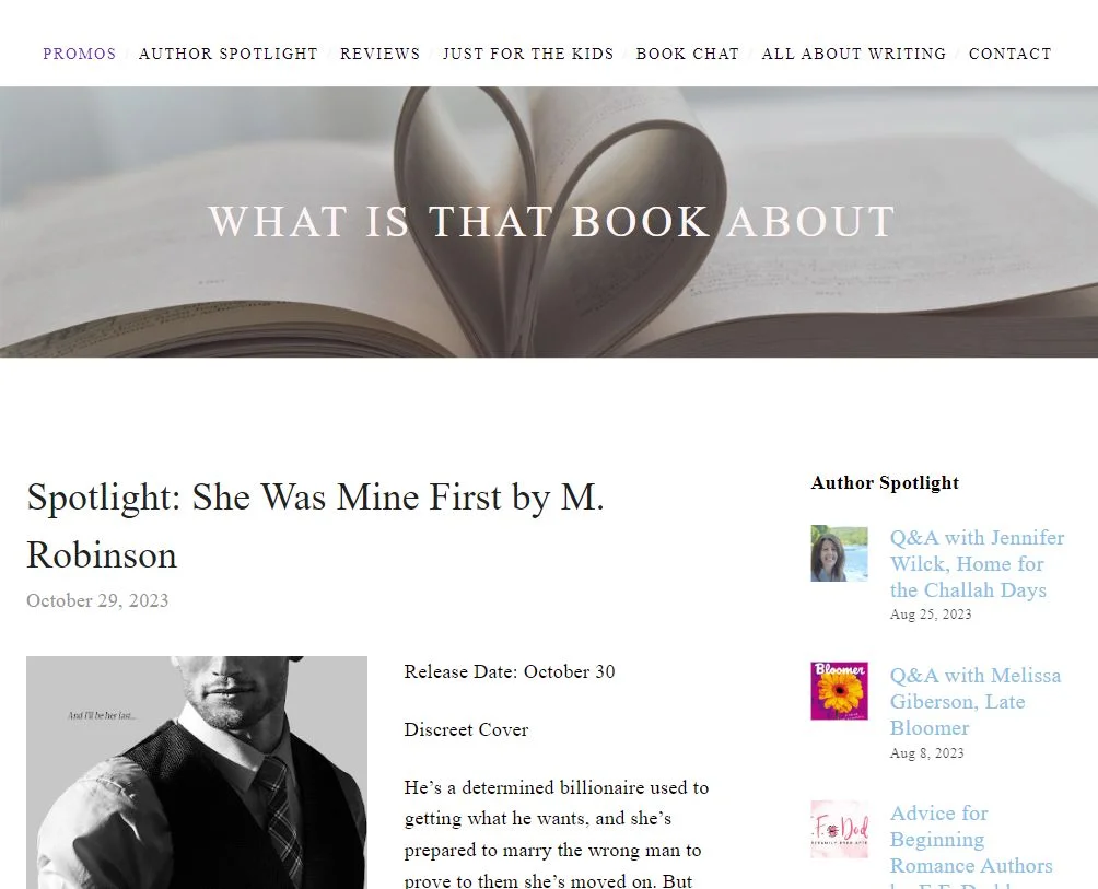 whatisthatbookabout.com homepage